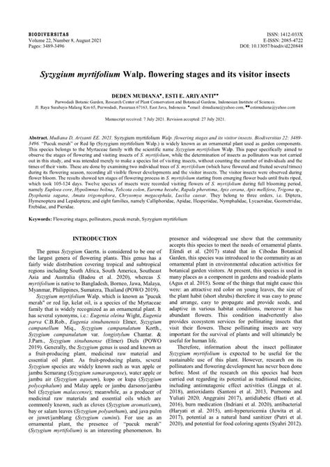 Syzygium Myrtifolium Walp Flowering Stages And Its Visitor Insects