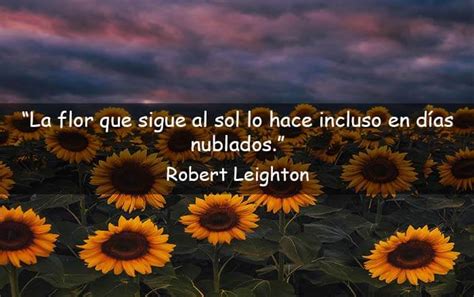 Frases De Girasoles Que Te Guiar N Hacia La Luz