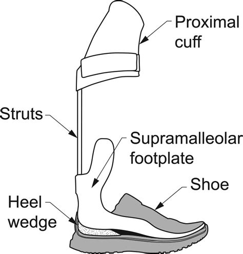 Effects Of Altering Heel Wedge Properties On Gait With The Intrepid