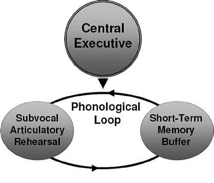 Phonological System