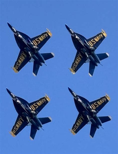 Denise VanBlunk Rizzitello