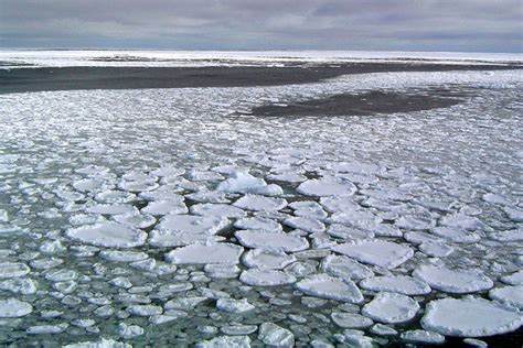 Antarctic Winter Sea Ice Hits Record Low Level