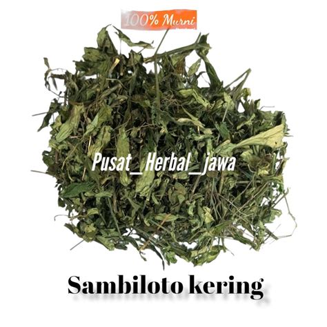 Jual Sambiloto Kering 1kg Cacah Batang Buah Daun Akar Shopee Indonesia