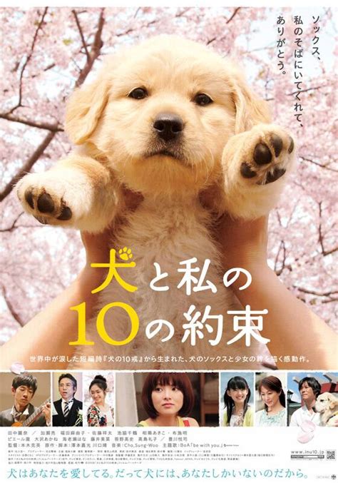 『犬と私の10の約束』配信情報【rakuten Play】