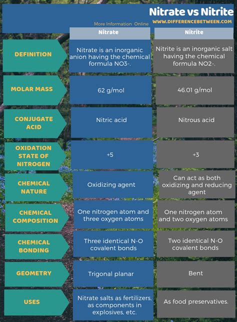 Difference Between Nitrate and Nitrite | Compare the Difference Between ...