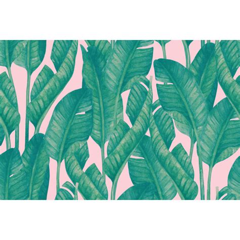 Sansibar Home Leinwandbild Banana Leaves Wayfair De