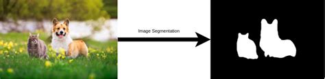 How To Implement Instance Segmentation Using YOLOv8 Neural Network