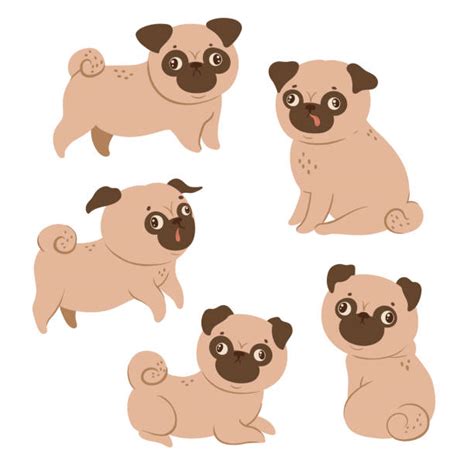 Pug Dog Illustrations Royalty Free Vector Graphics And Clip Art Istock