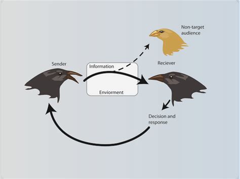 An Introduction to Animal Communication | Learn Science at Scitable