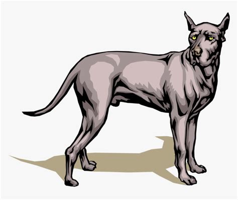 Vector Illustration Of Great Dane Dog Turns Its Head Great Dane Dog