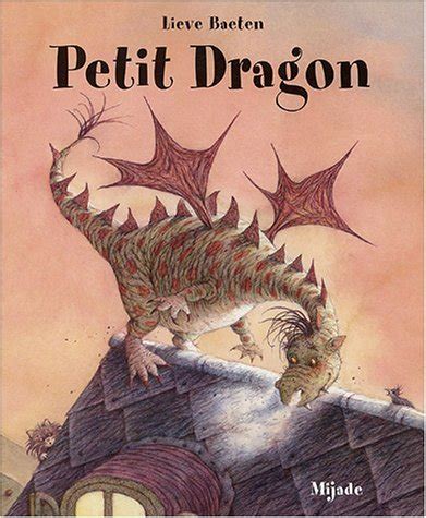 S Lection De Livres Sur Les Dragons Ans Avec Mes Petites Mains