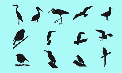 Premium Vector | A group of birds on a blue background