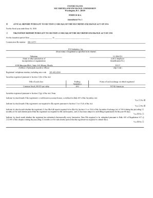 Fillable Online Amendment 1 Form 10 K A Fax Email Print PdfFiller