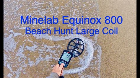 Metal Detecting Beach Minelab Equinox 800 Large Coil YouTube