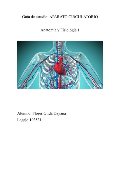 Gu A De Estudio Sistema Circulatorio Gu A De Estudio Aparato