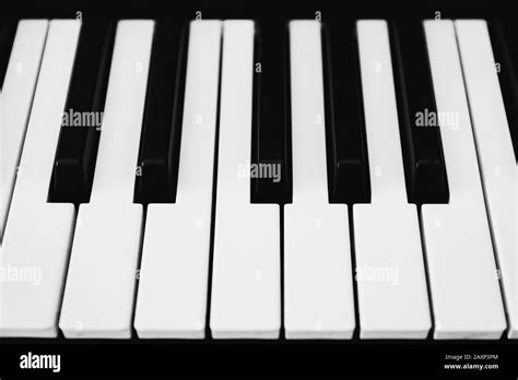 Teclas De Piano En Blanco Y Negro Primer Plano De Un Teclado