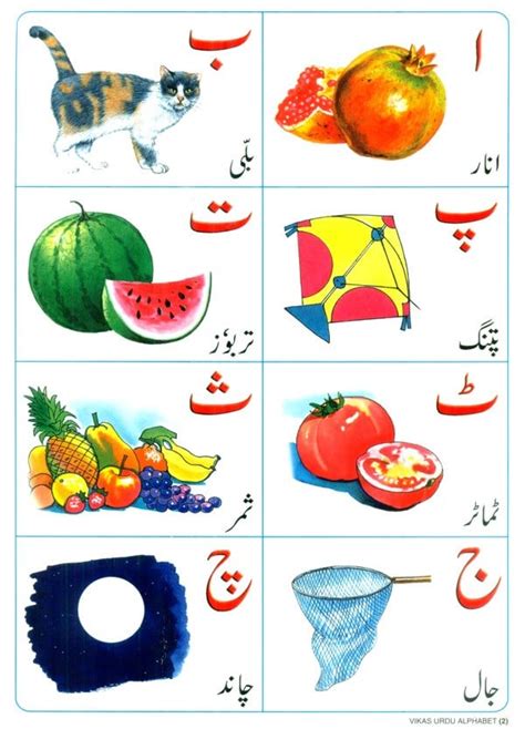 Kids Learning Educational Foam Wall Urdu Alphabets With Diagram