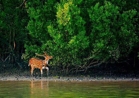 Beautiful Bangladesh – International Social Business Summer Program