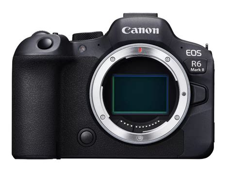 Best Canon Mirrorless Camera - Which one for you? — The School of ...