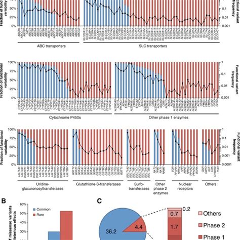 The Relevance Of Rare Genetic Variants For Warfarin Response And