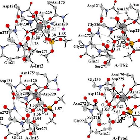 Optimized Geometries For The Intermediates Transition State And