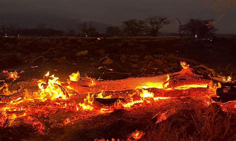 Sobe para 110 o número de mortos na sequência de incêndios florestais