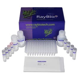 Human Mog Immuno Pcr Assay Kit Iqelisa Raybiotech