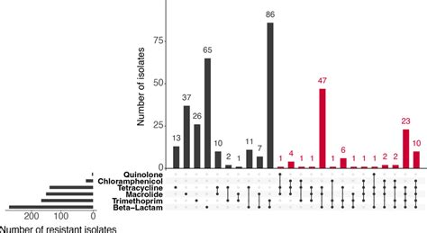 Upset Plot Of The Distribution Of Multidrug Resistant Isolates Download Scientific Diagram