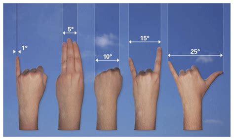 degrees arc minutes  arc seconds orion bear astronomy