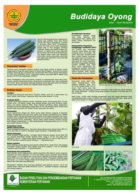 Poster Budidaya Tanaman Hortikultura Pdf