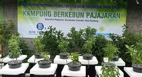 Urban Farming Pertanian Modern Masa Kini Guide