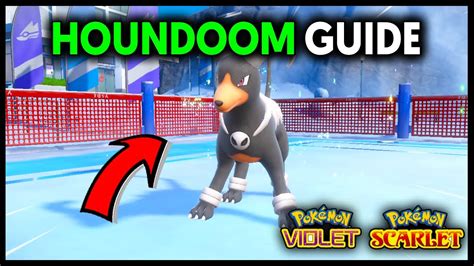 How To Get Houndoom On Pokemon Scarlet And Violet Youtube