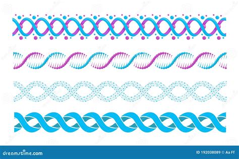 The Structure Of The Chromosome. Infographics. Vector Illustration On ... 