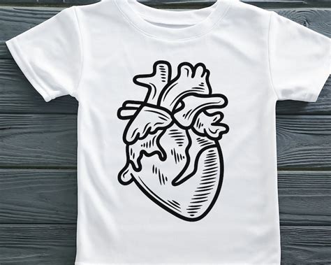 Anatomical Heart Svg Bundle Human Heart Svg Anatomical Heart Medical