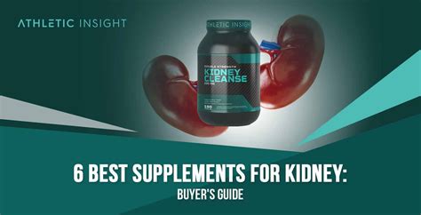 6 Best Supplements For Kidney Health A Guide To The Best Kidney