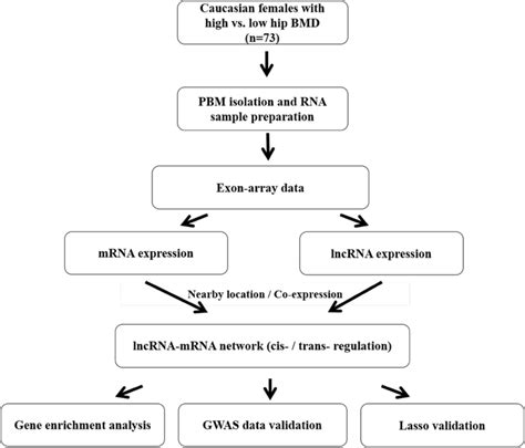 The Pipeline Of Integration Analysis To Identify Mrnalncrna