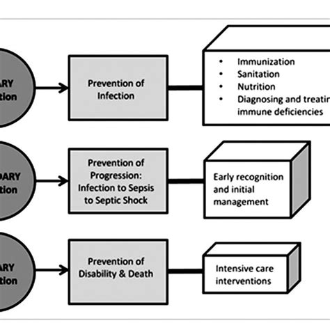 Depiction Of Primary Secondary And Tertiary Pediatric Sepsis