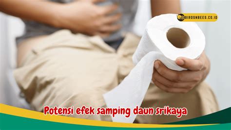 Cegah Pertumbuhan Sel Kanker Ketahui Manfaat Daun Srikaya Untuk