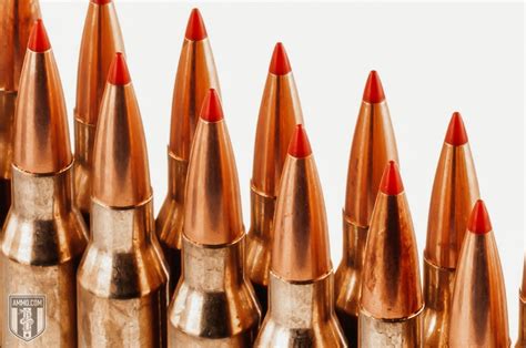 Lapua Ammo Comparison