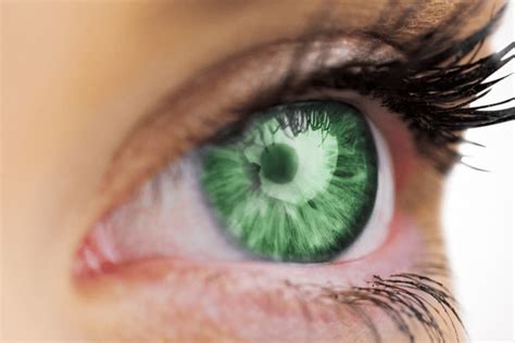 The Truth About Green Eyes Adelaide City Optometrist