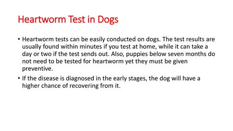 Ppt Things To Know About Canine Heartworm Disease Powerpoint