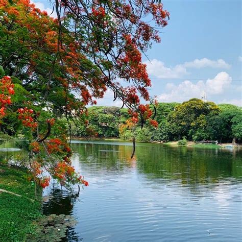 Dhanmondi Lake | Lake, Nature, Outdoor