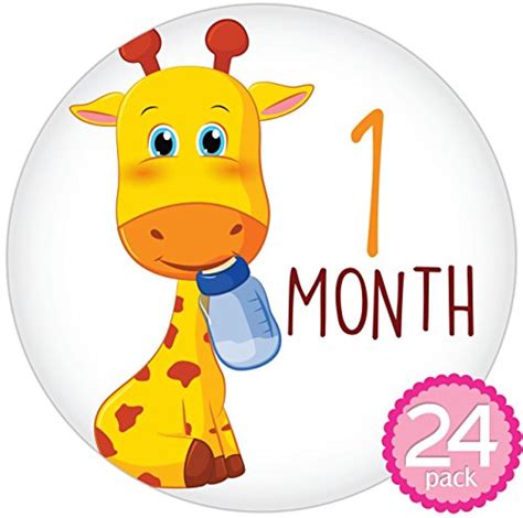 Buy Baby Monthly Stickers By Kiddosart 24 Pack Of 4 Sticker 1 Happy