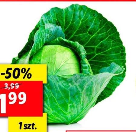 Kapusta Taniej Promocja Lidl Ding Pl