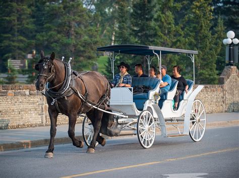 Horseback Riding in Banff and Lake Louise | Banff & Lake Louise Tourism