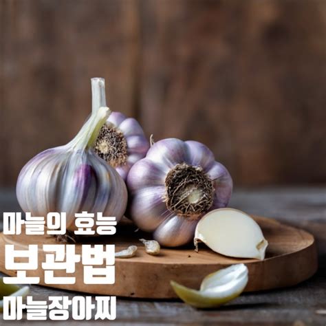 항암 항염 마늘의 효능과 보관법 마늘장아찌 담그는 방법 네이버 블로그