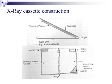 X Ray Cassettes 3rd Lecture Alhanouf Alshedi Ppt Video Online Download