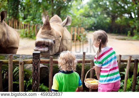 Family Feeding Rhino Image & Photo (Free Trial) | Bigstock