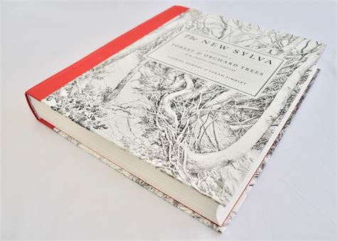 The New Sylva A Discourse Of Forest And Orchard Trees For The Twenty