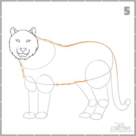 How To Create A Nice Drawing Of A Tiger For Beginners Craft Mart